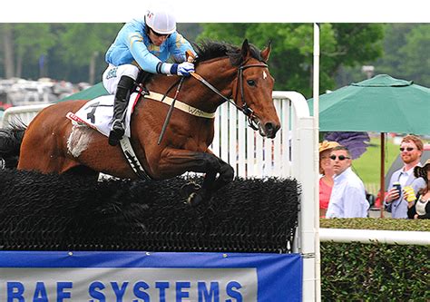  Jockey: A High-Octane Ride into the World of Steeplechasing